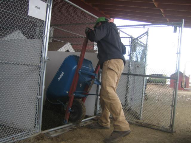 Lot's of pee-gravel....and more pee-gravel.  We hate the cement slab floor approach, so that's why we go to all this work.